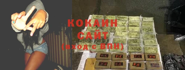 стафф Новокубанск