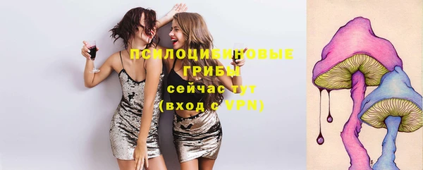 прущие крисы Аркадак